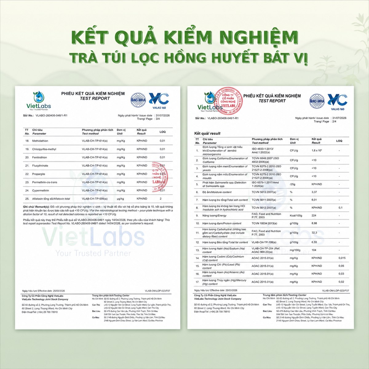 Phiếu kiểm nghiệm trà túi lọc Hồng Huyết Bát Vị — VietLabs